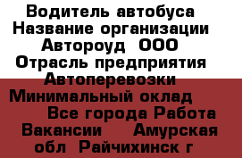 Водитель автобуса › Название организации ­ Автороуд, ООО › Отрасль предприятия ­ Автоперевозки › Минимальный оклад ­ 50 000 - Все города Работа » Вакансии   . Амурская обл.,Райчихинск г.